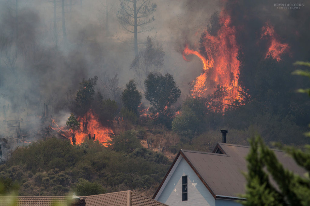 Flames right next to our neighbourhood. Click on photo to go to Bryn’s blog post.