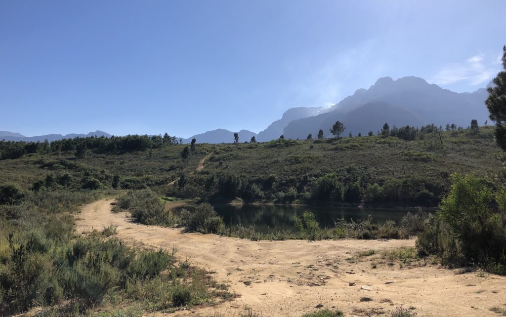 Pre-requisite running photo, this one taken in Paarl. It was already quite hot. Getting really hot really early in the morning is Paarl’s thing.